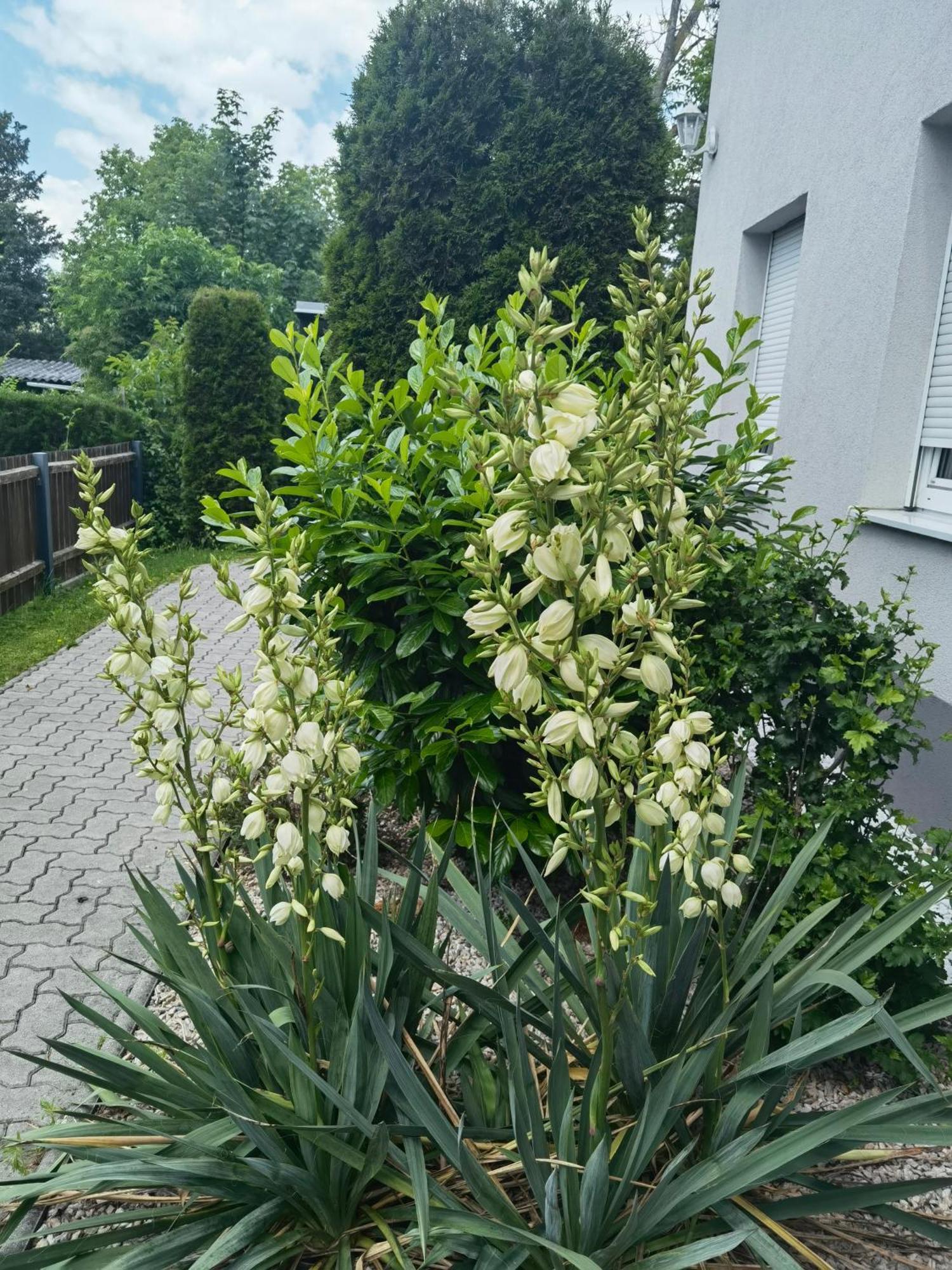 Eichbachgasse 38 Lägenhet Graz Exteriör bild